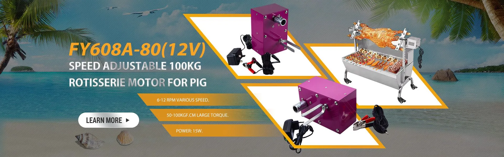 12V variable speed grill motor
